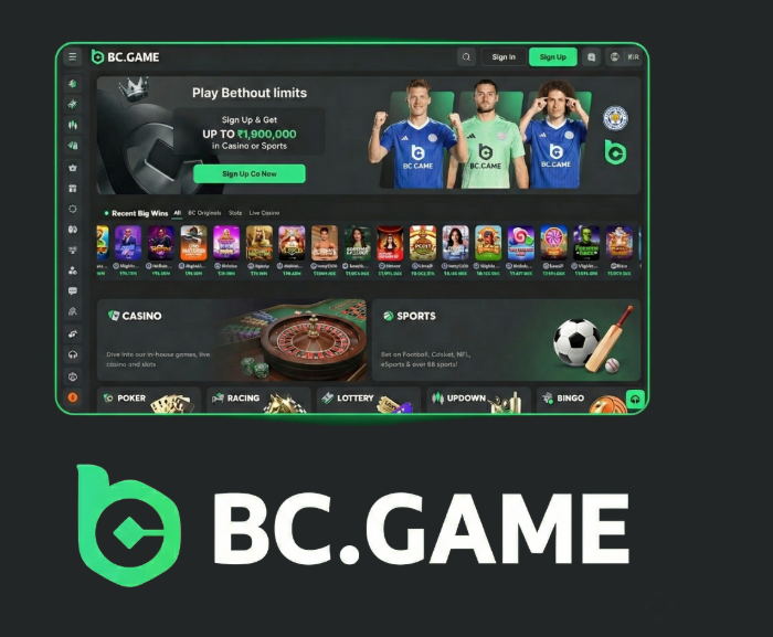 Ultimate Guide to BC.Game Mirror Site Ultimate Guide to BC.Game Mirror Site